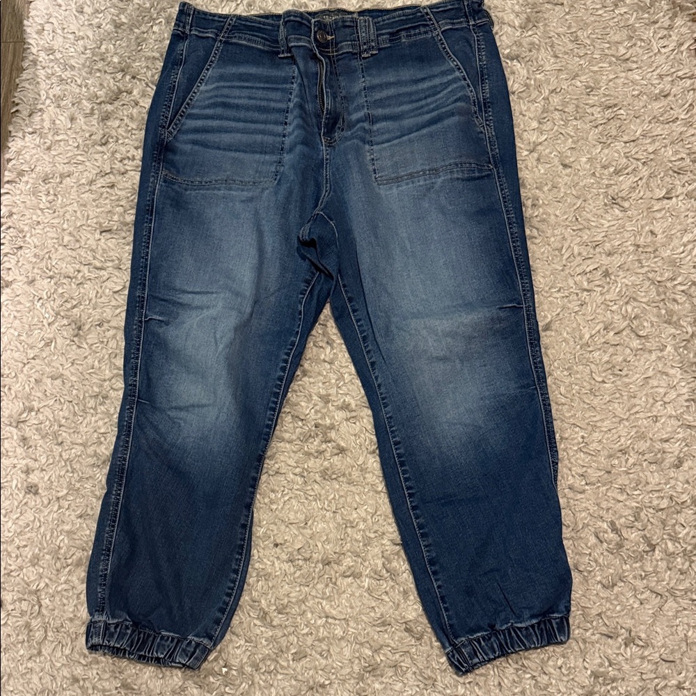 Torrid Blue Denim Jeans